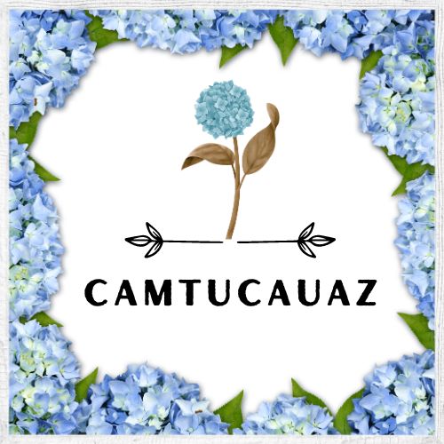 camtucauaz.com